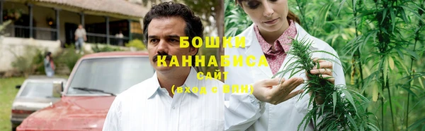 шишки Балабаново
