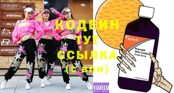 гидра Бородино