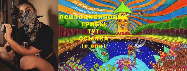 гидра Бородино
