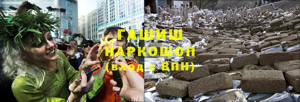 гидра Бородино