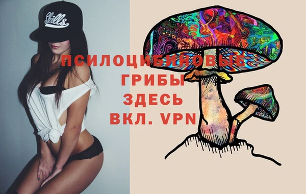шишки Балабаново