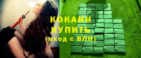 шишки Балабаново