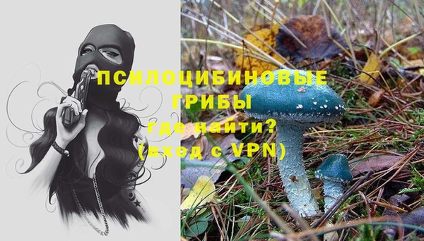 марки nbome Богданович