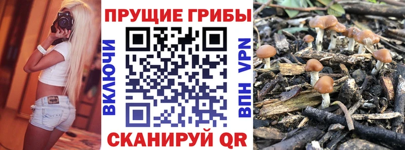 Псилоцибиновые грибы Psilocybine cubensis  где купить   маркетплейс формула  Петухово 